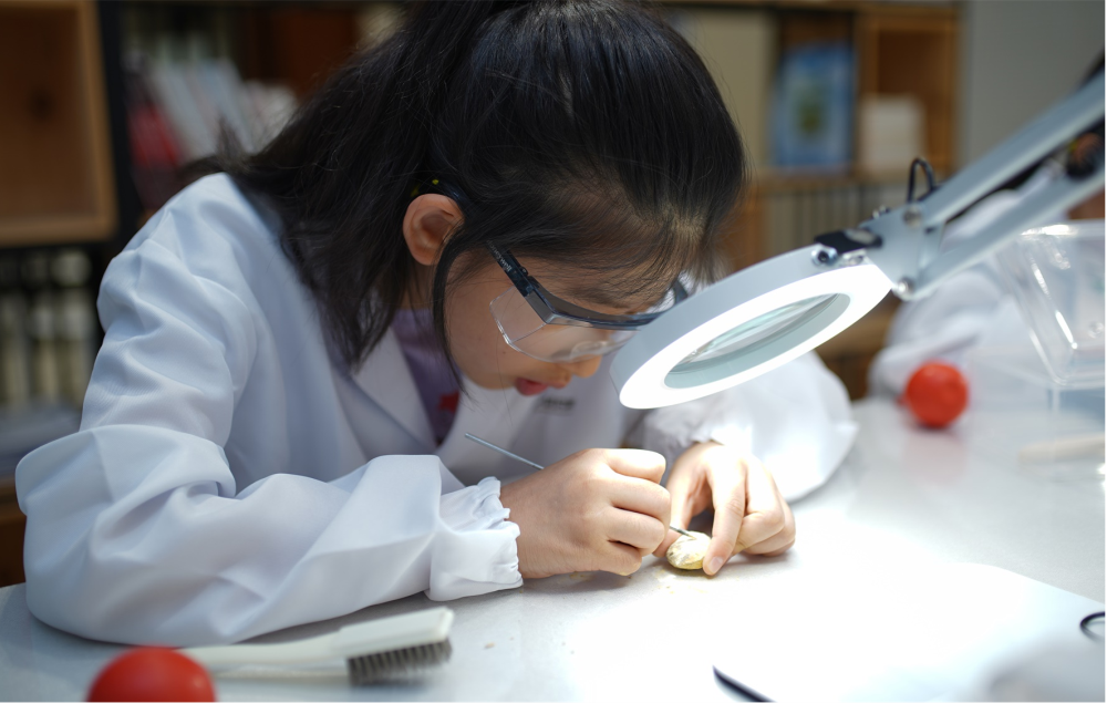 圖片9.png 圖片9.png