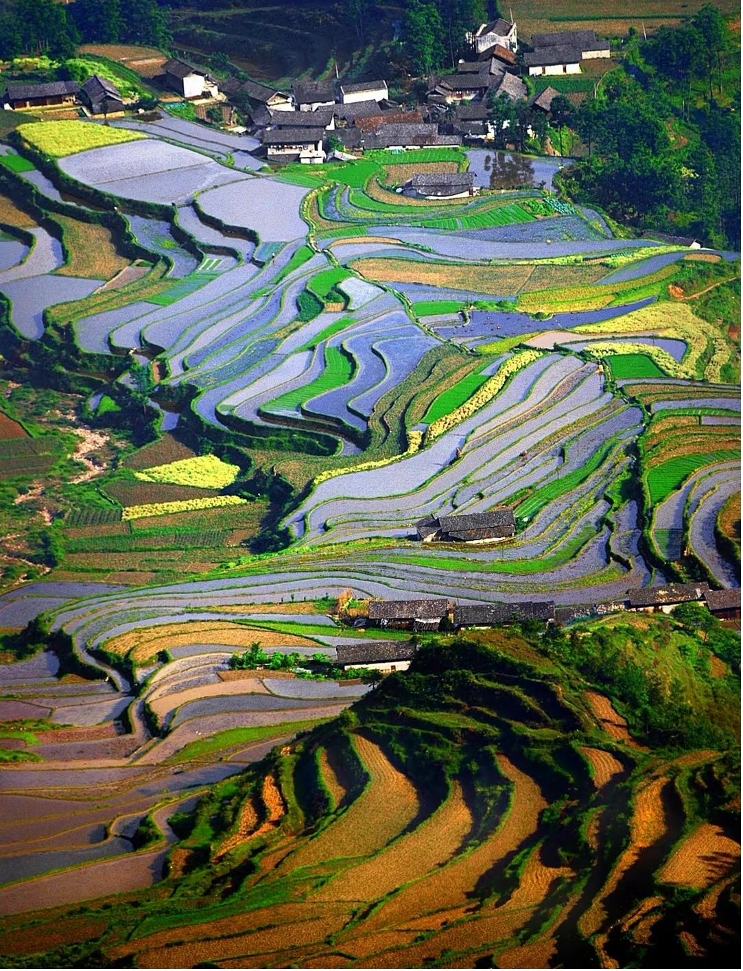 圖片2.jpg 圖片2.jpg