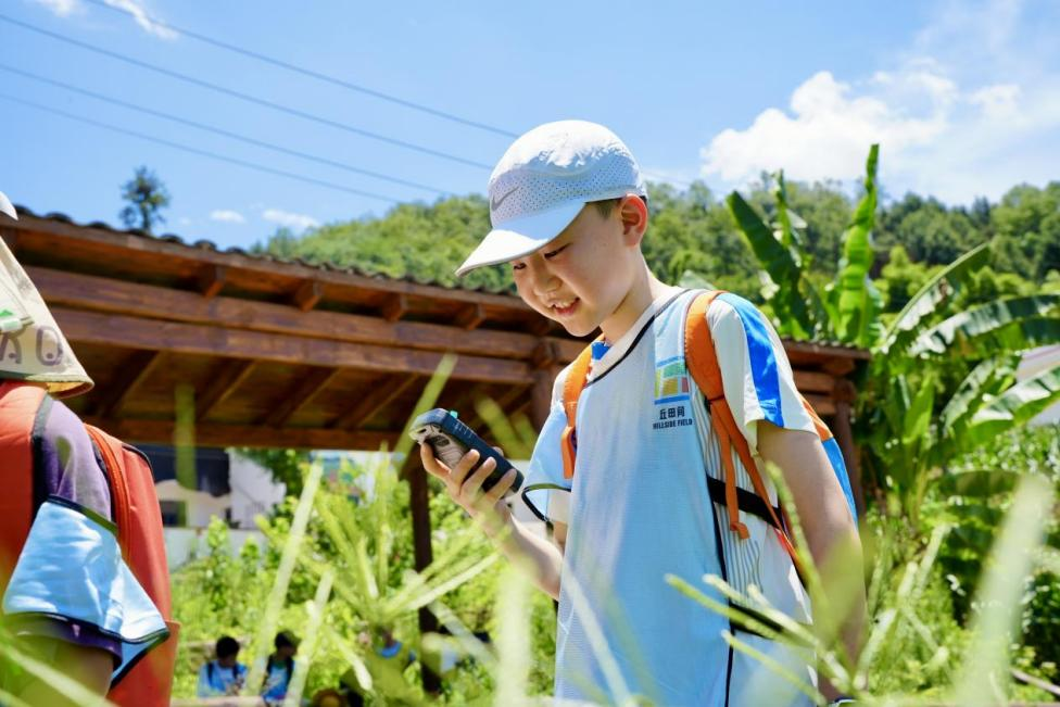 圖片3.png 圖片3.png